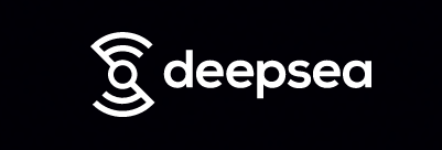 Deepsea AI Logo